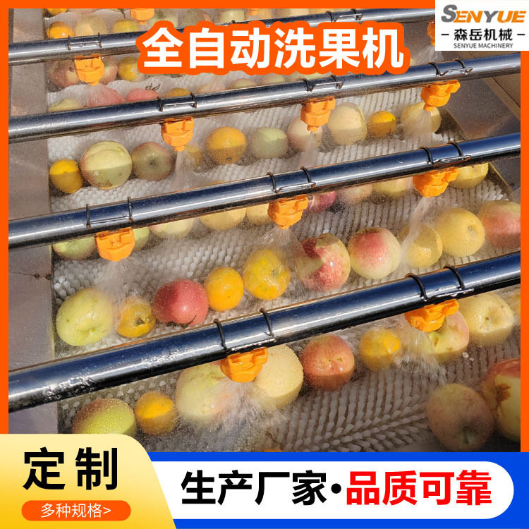 定制商用果蔬毛刷清洗机西梅毛辊清洗机设备圣女果毛刷清洗风干线,清洗/食品/商业设备,洗果机/洗菜机,淘宝优惠券,粉丝福利购,淘宝优惠卷