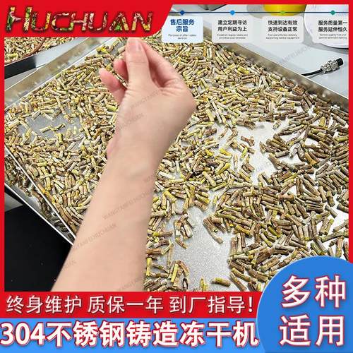 整朵玫瑰花冻干机果蔬食品用脱水冻干机设备草莓真空冷冻干燥机