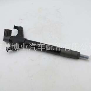 高压共轨喷油器 4D发动机 FTV 1AD 295900 0060适用2.0d