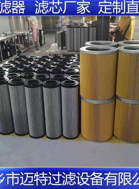 HQ25.12Z10.007F哈汽机组专用滤芯 电厂滤芯 EH抗燃油滤芯