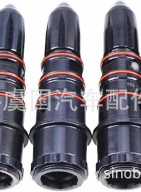 3030445 3047973共轨喷油器3054233