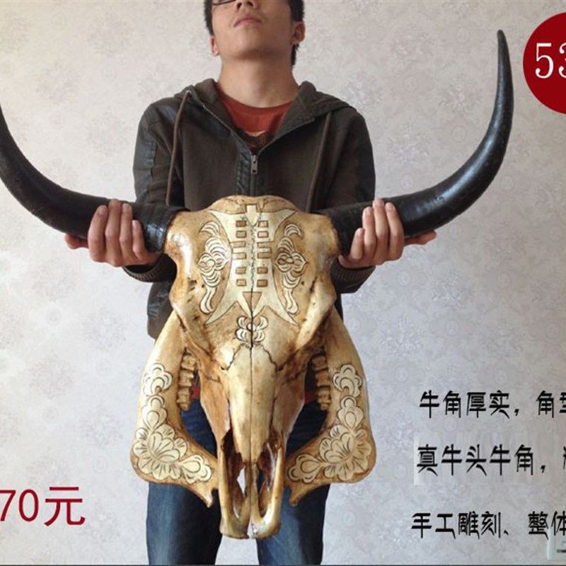 牦牛头骨工艺品 天然真牛头装饰品羊头骨标本特色手工艺牛头墙挂