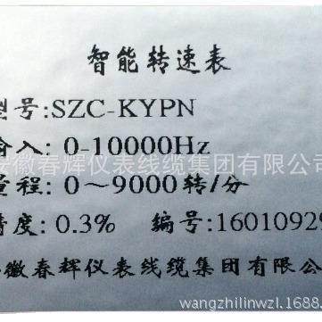 转速表旋转机械转速的监控和保护ZC-KYPN