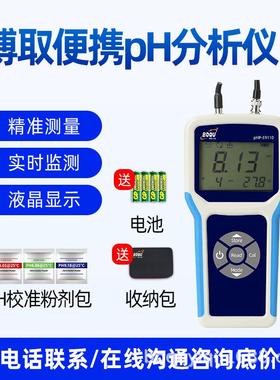厂家供应便携PHORP计水质分析仪含电极探头污水检测
