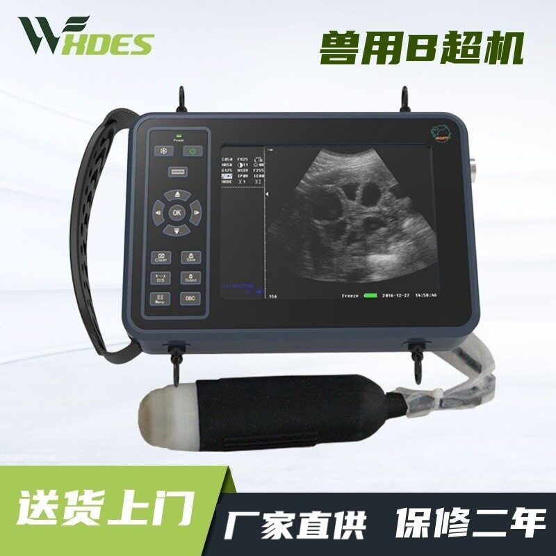 锡德恩斯兽用B超机羊牛用测孕仪器猪用b超机畜牧b超机高清便携