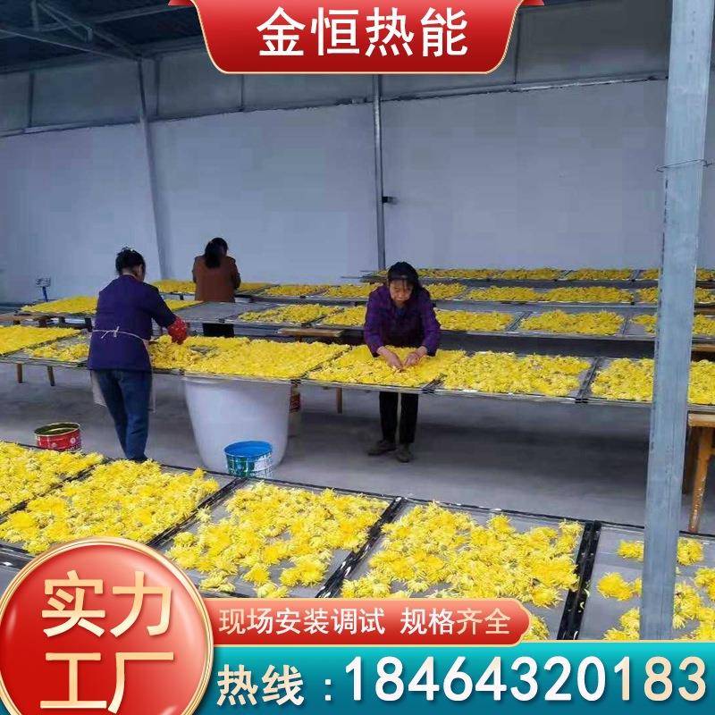 小型多功能菊花烘干机 药材花茶水果烘干箱 蘑菇鼓风式烘干机