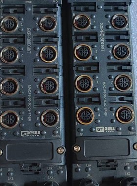 GSEE吉诺总线模块GXPI-DI8DO8/T