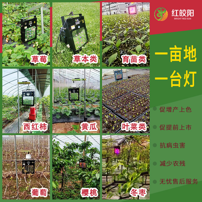 大棚草莓蔬菜增温室专用激光补光灯全光谱花卉育苗植物工厂生长灯