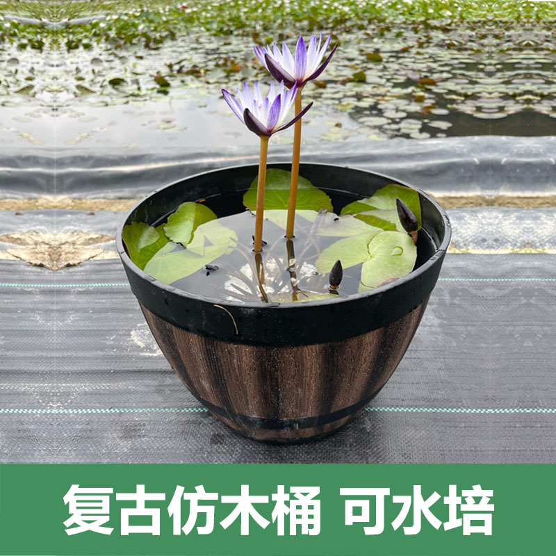 塑料花盆圆形仿木桶无孔加厚树脂特大号复古荷花碗莲睡莲盆缸水培