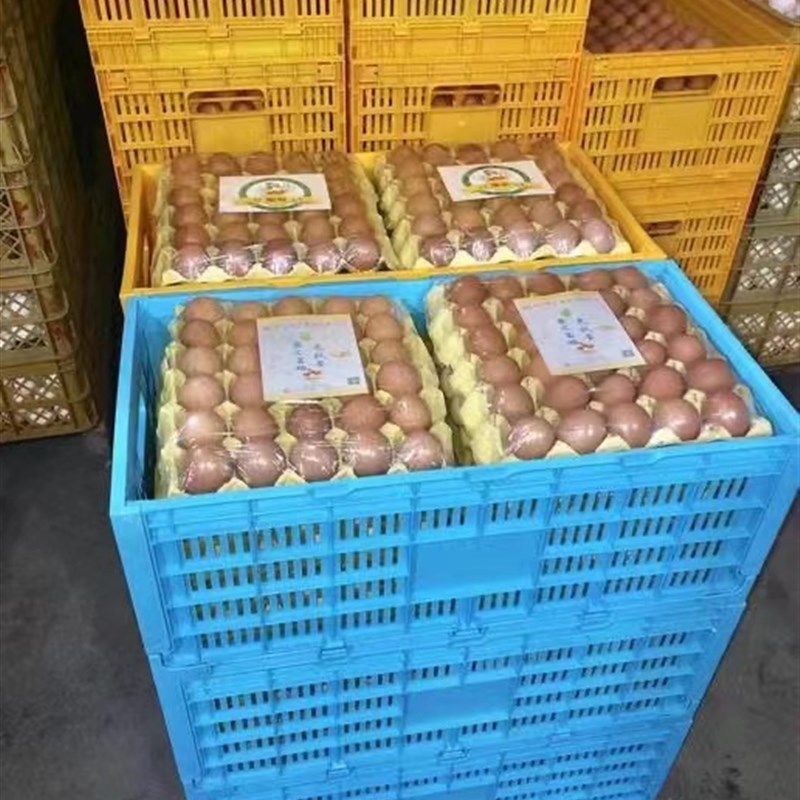 烟台恒信塑料欧式折叠箱鸡蛋箱周转箱蛋箱配八个蛋托一套