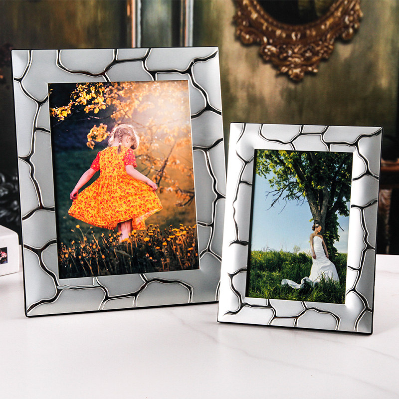 新品弗莱文茨相框定制干花相框家用照片墙挂墙欧式金属相框摆台