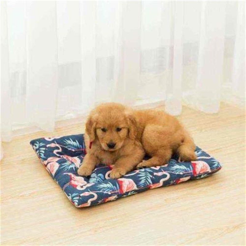四季狗窝泰迪宠物窝猫窝小型中型大型犬金毛狗床帆布垫子宠物用品