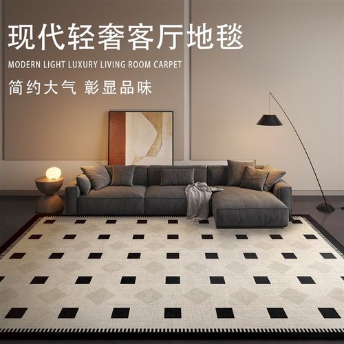 高级感地毯客厅地垫2025新款卧室床边毯沙发茶几家用免洗可擦防水