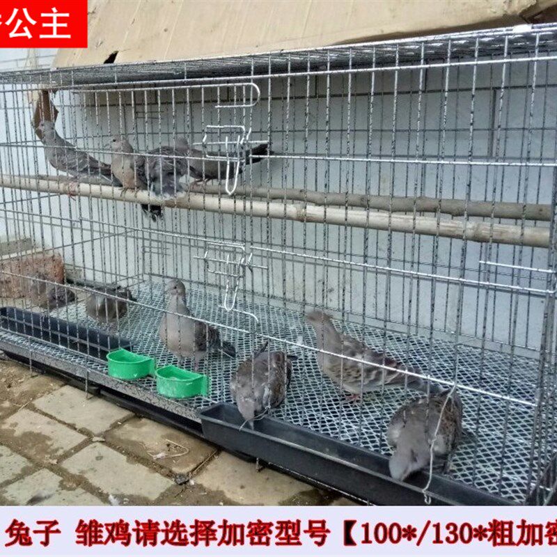 鸡笼子隔断兔笼粗加密鸽子笼养殖家用特大号猫笼自动清粪折叠鸡笼