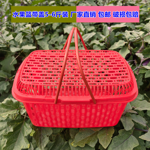 水果篮6斤装草莓篮砂糖桔篮框子杨梅篮枇杷篮鸡蛋篮胶框筐带盖子