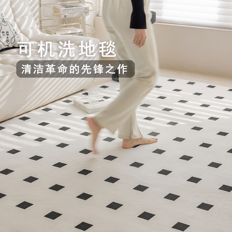 定做客厅可机洗地毯双层卧室2024新款加厚可拆洗地毯私人定制异形图片