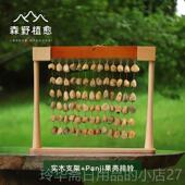 高档森野植串愈 天然植果壳铃 音束实手物摇铃疗愈音乐伴奏手摇乐