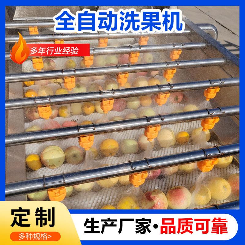 苹果分选清洗机柑橘洗果机水果清洗打蜡机食品工厂洗果机果蔬