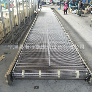厂家直供网带输送机 304不锈钢耐高温食品烘干链板 输送机流水线