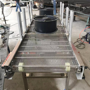厂家直供网带风干食品杀菌机输送挤塑机颗粒输送机水果清洗输送机