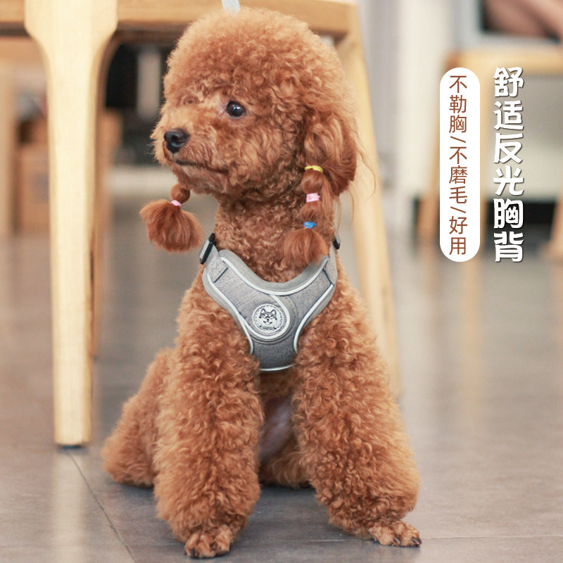 泰迪比熊法斗柯基中型小型犬狗狗牵引绳背心式胸背带狗绳链子用品