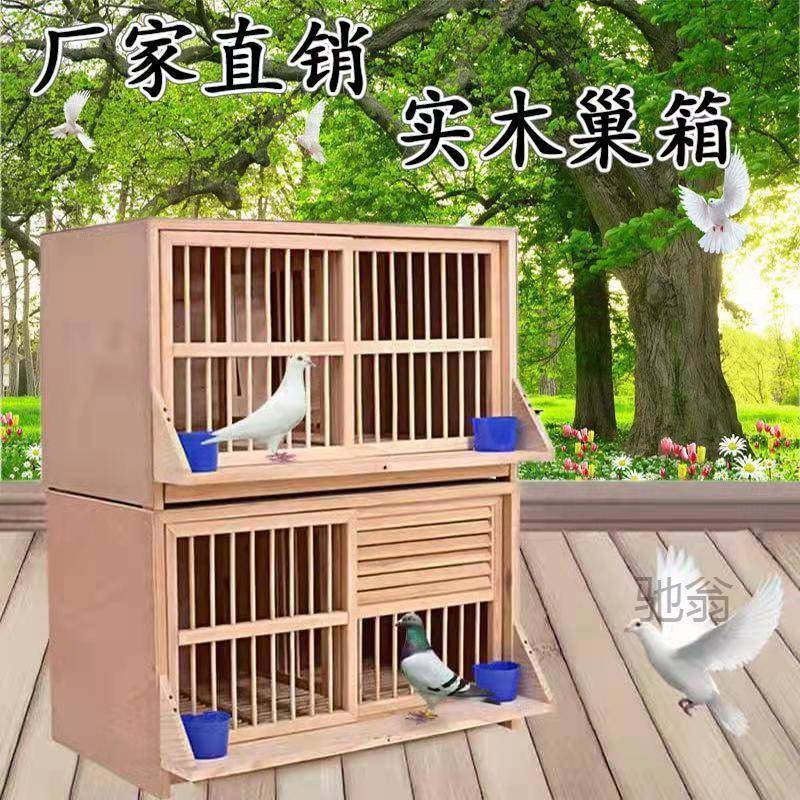 麓f鸽具巢箱鸽子配对笼赛鸽巢箱信鸽配对笼松实木质制组合巢箱鸽