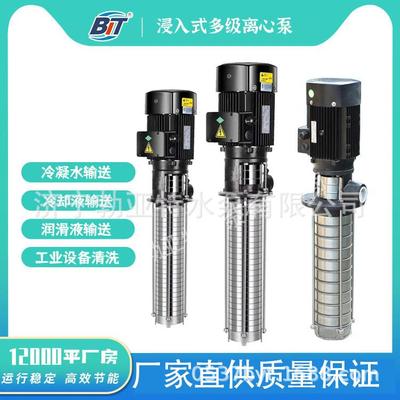 浸入式多级离心泵QDLY/CDLY2系列不锈钢液下泵侵入式立式泵多E18