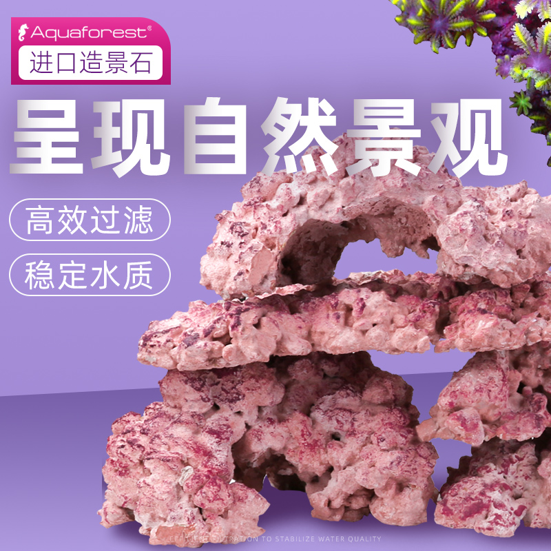 紫色森林进口海缸造景石开缸代替海水活石培菌石免爆藻过滤材料