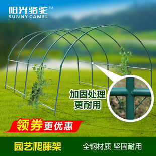 爬藤架阳台楼顶庭院花园支架花卉蔬菜攀爬豆角黄瓜架大棚骨架钢管