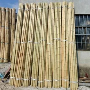 竹竿黄白竹竿粗细菜架竹黄瓜豇豆茄子辣椒架杆彩旗杆楠竹