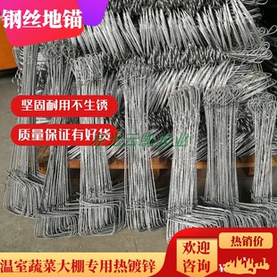 温室大棚钢丝地锚热镀锌地桩耐腐蚀预埋拉线固定压膜绳农业用