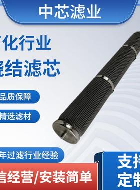 中芯滤业 烧结式过滤芯 BSGF-3-1UM-S30408烧结不锈钢过滤芯
