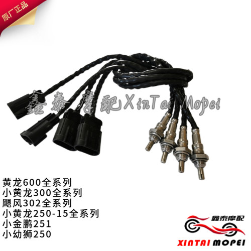 黄龙600/300GS/302R/250-15/251/250-18/BJ250氧传感器新款加长