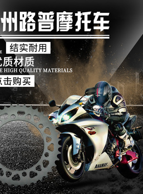 LOPOR 火神VN800 97~05 42齿 前后链牙盘链盘链轮油封链条大小飞