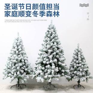 圣诞白色仿真人造雪植绒雪松树1.2米1.5米2米3米雪景带灯款可选