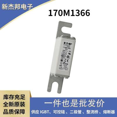 170M7532 170M7542 170M7544 170M7546原装陶瓷熔断器 保险丝