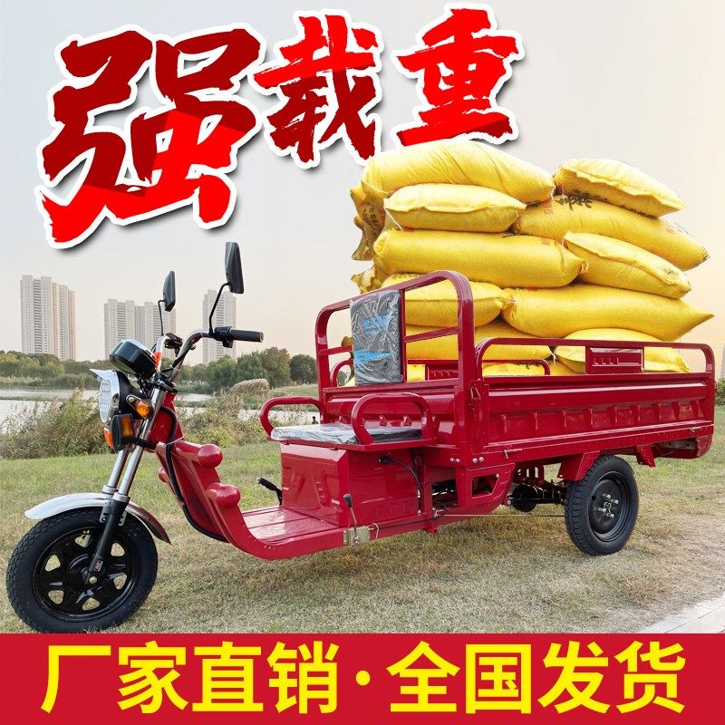 电动三轮车家用小型装货快递车电动三轮车农用拉货载重王大功率