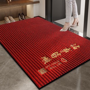 高级入户门地垫2024新款 家用门口进门垫防滑可擦洗耐磨脚踏垫地毯