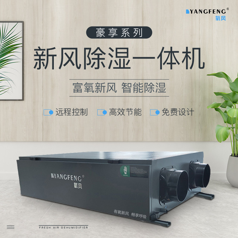 氧风全热交换新风除湿机一体机系统别墅地下室防潮中央吊顶管道式
