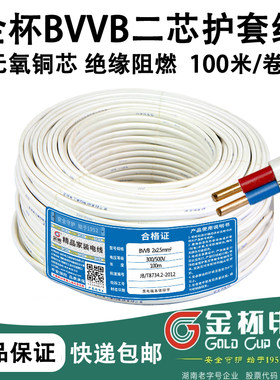 金杯电线BVVB2芯1.0/1.5/2.5/4/6平方护套线家用双铜芯明装平行线