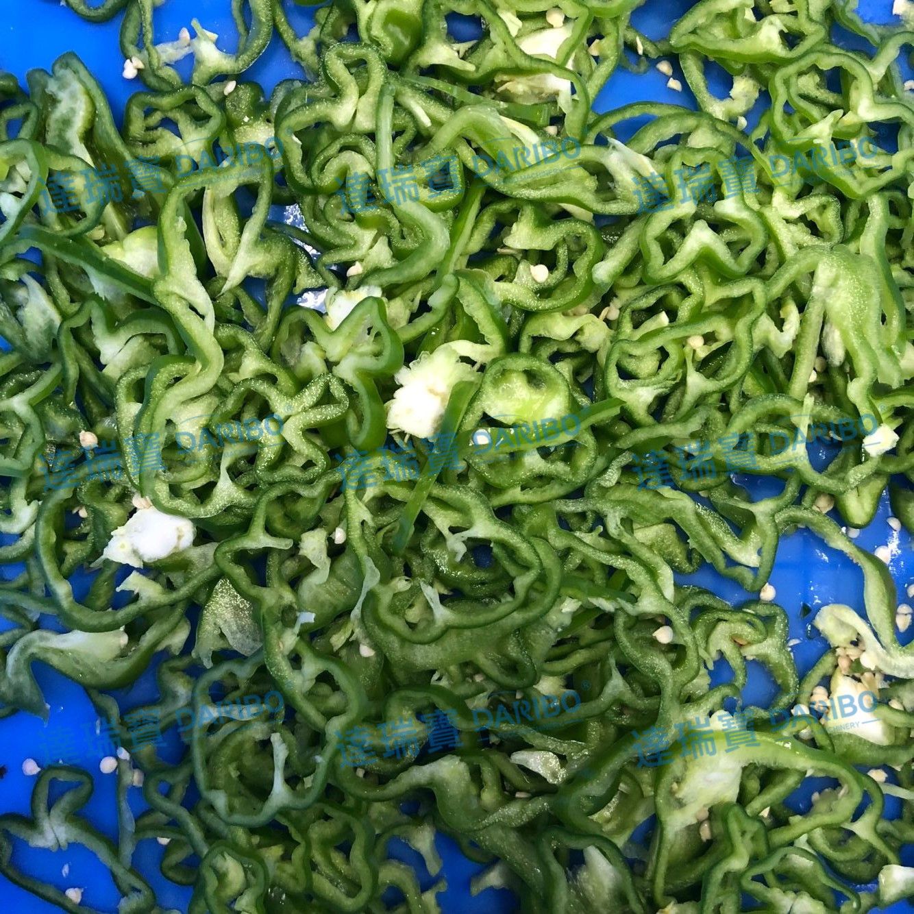 *大型多功能茄子黄瓜切片机 青椒芹菜香菜切段机南瓜杏鲍菇切丝片