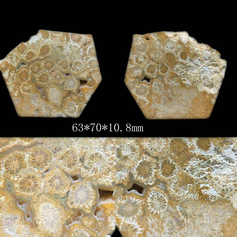 正品印晶尼花原矿天然珊瑚玉原石矿料摆件菊玉石手把件饰装饰品片