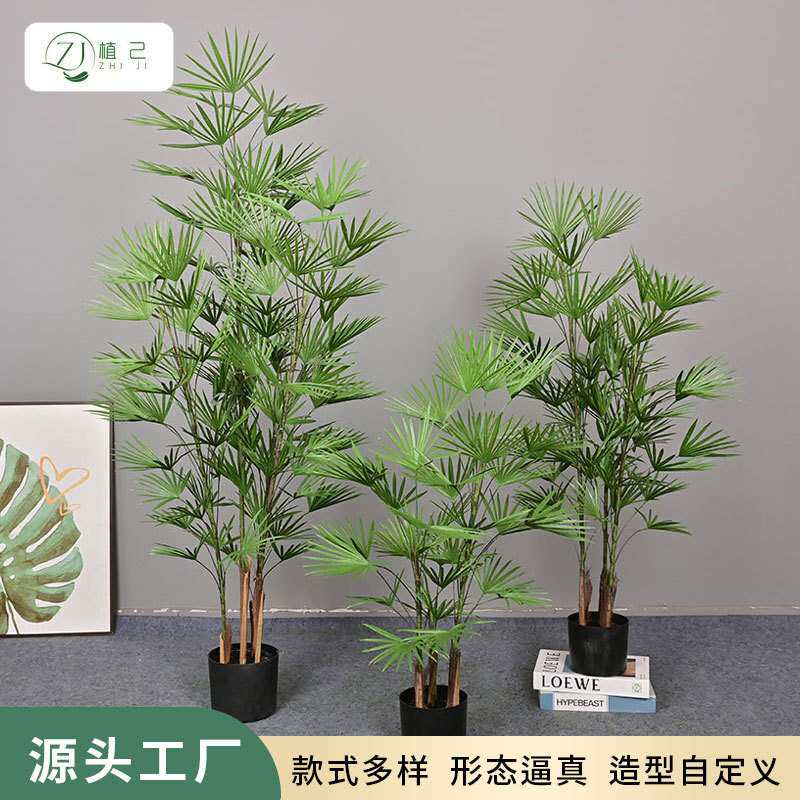 反正绿植金山棕落地盆栽假树装饰室内家居植物造景摆件金山棕