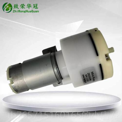 高档大流量微型气泵12V微型充气气泵Z1R55V5PM吸泵24抽气泵微型真