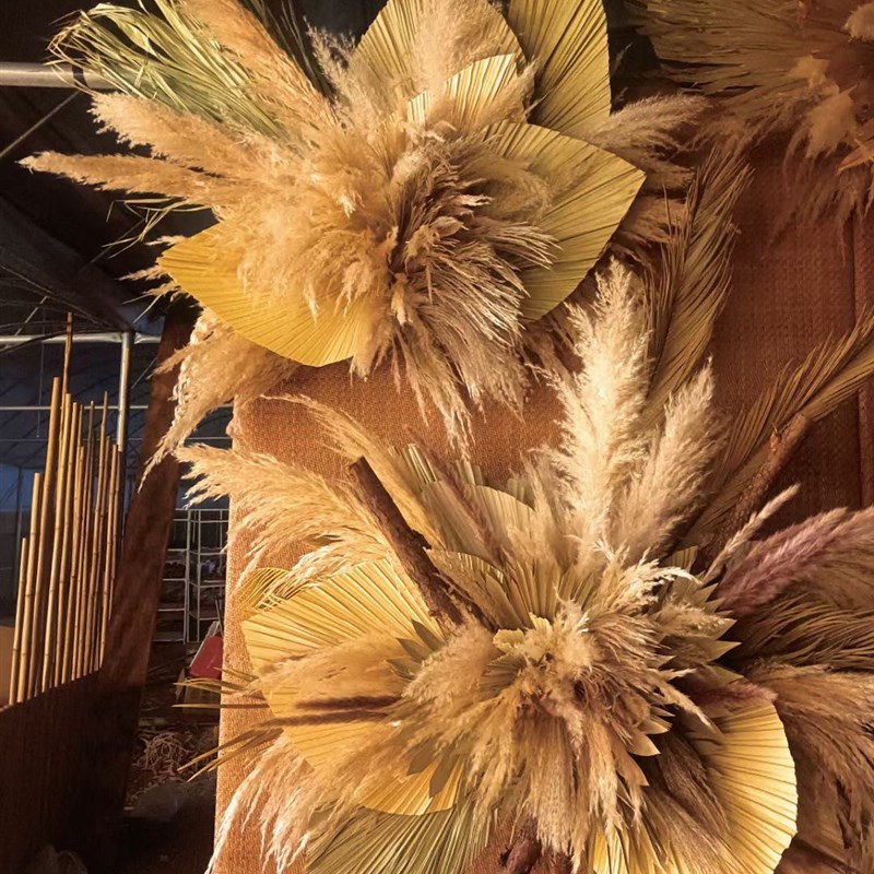 橱窗装饰婚庆插花白色芦苇软装婚礼场景花艺墙干花蒲扇叶蒲葵棕桐