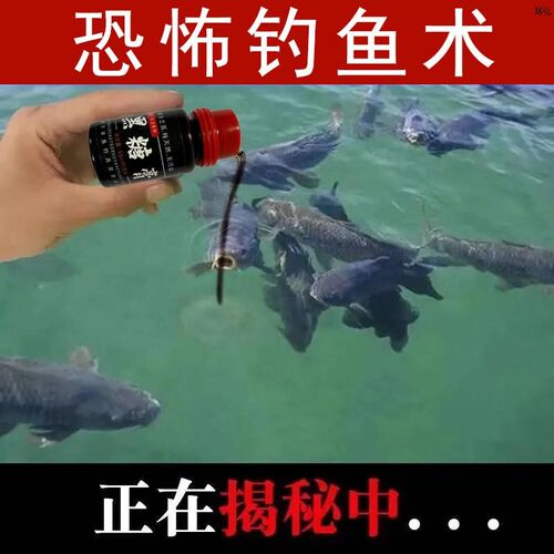 诱鱼因子钓鱼小药鱼饵料鲫鱼鲤鱼饵野钓黑坑通杀钓鱼用品鲤鱼小药