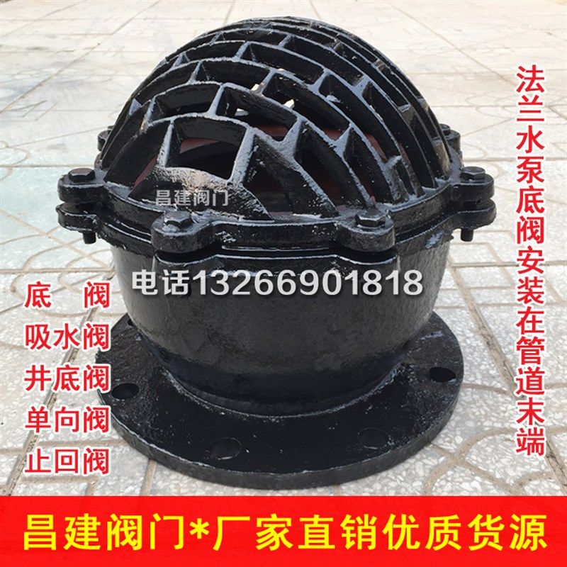 H42X法兰铸铁底阀 水泵单向阀止回阀莲蓬头DN50 80 100 150 200