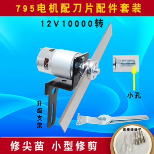 795直流电机高速马达12V 打尖大功率电动工具 24V微型DIY园林修剪