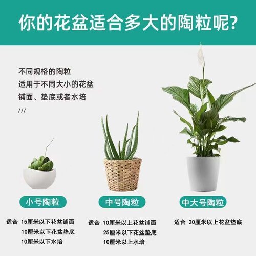 陶粒球花盆铺面垫底防烂根种植透气颗粒种花种菜植物无土栽培陶土