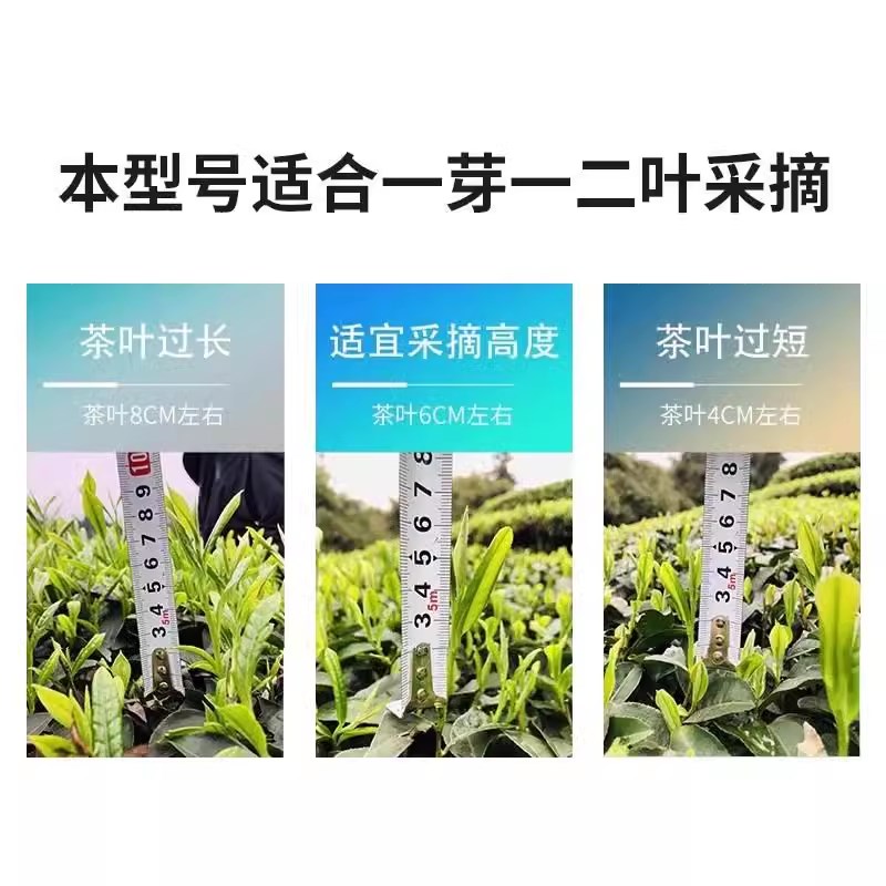 202新款小茗自动采茶机电动采摘便携采茶机茶叶鲜叶分级机一体机